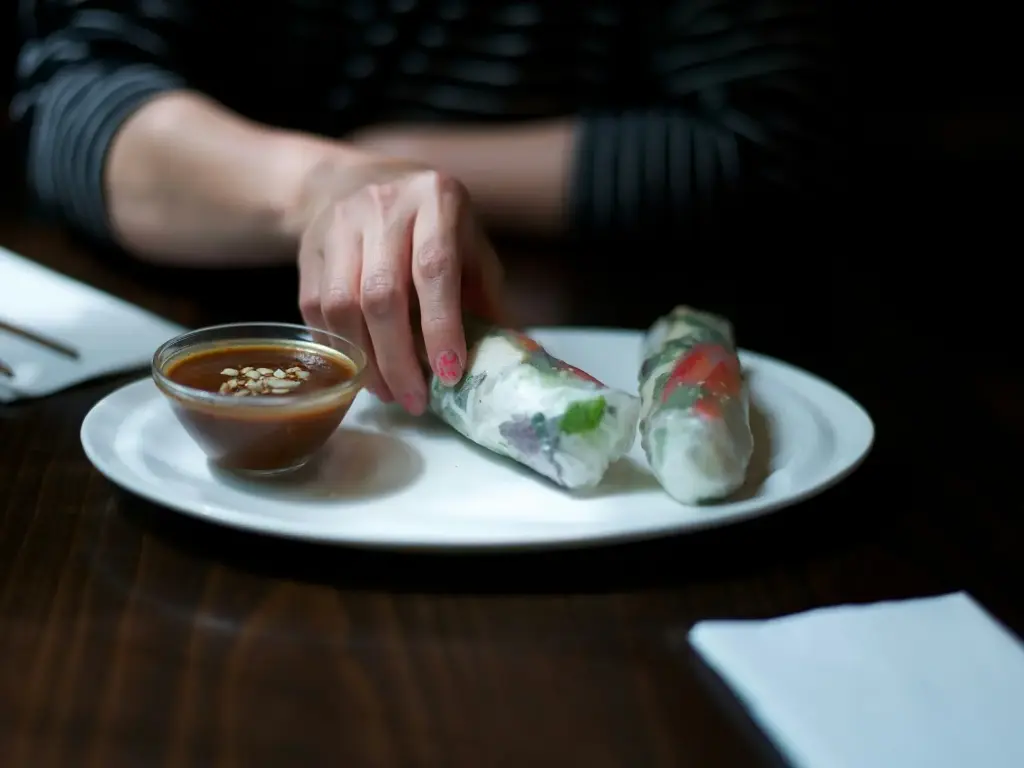 蔬菜春捲–10個（冷凍）