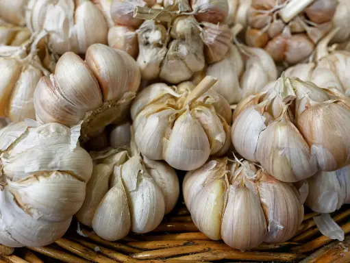 冷凍蒜末–250克